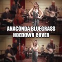 Vintage Bluegrass Anaconda Cover Video1